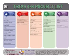 Texas 4-H Project List